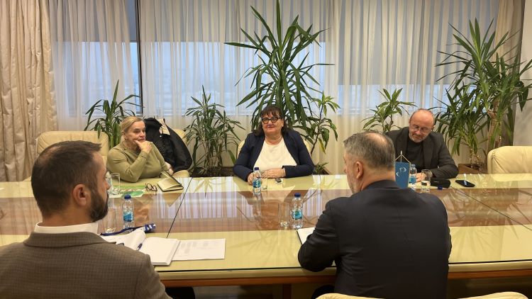 Поводом 3. децембра: Министар Шеранић разговарао са представницима организација особа са инвалидитетом